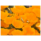 2df584c2-ebec-45bb-8085-9dd8d09255fd