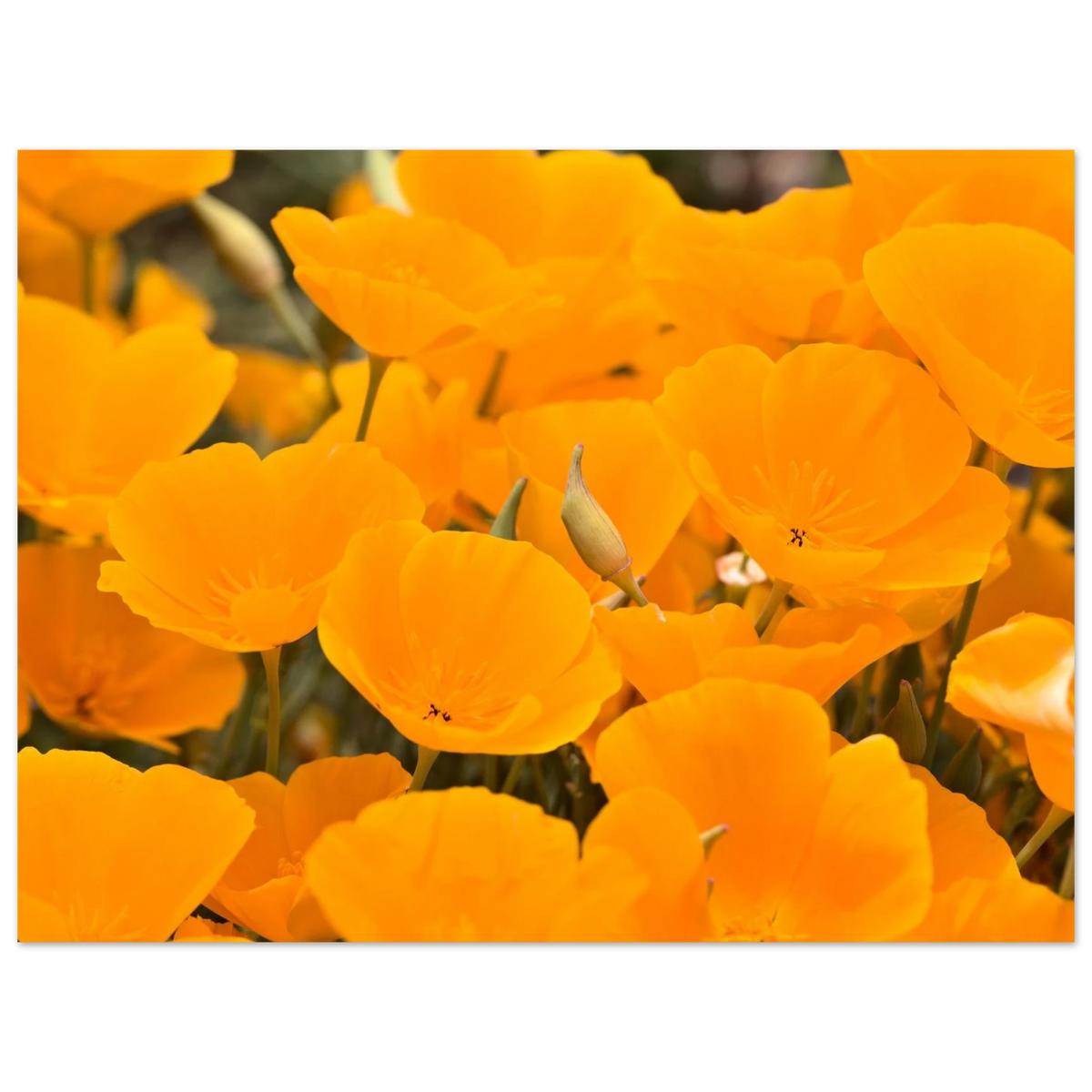 2df584c2-ebec-45bb-8085-9dd8d09255fd
