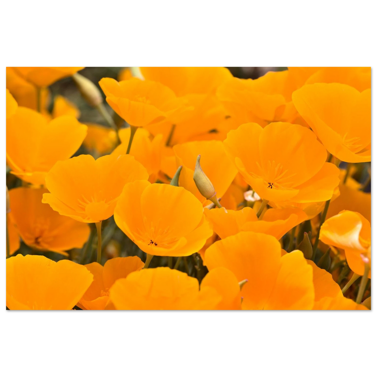 395b4177-a6e5-4805-bbd0-82d1cc77e4a7