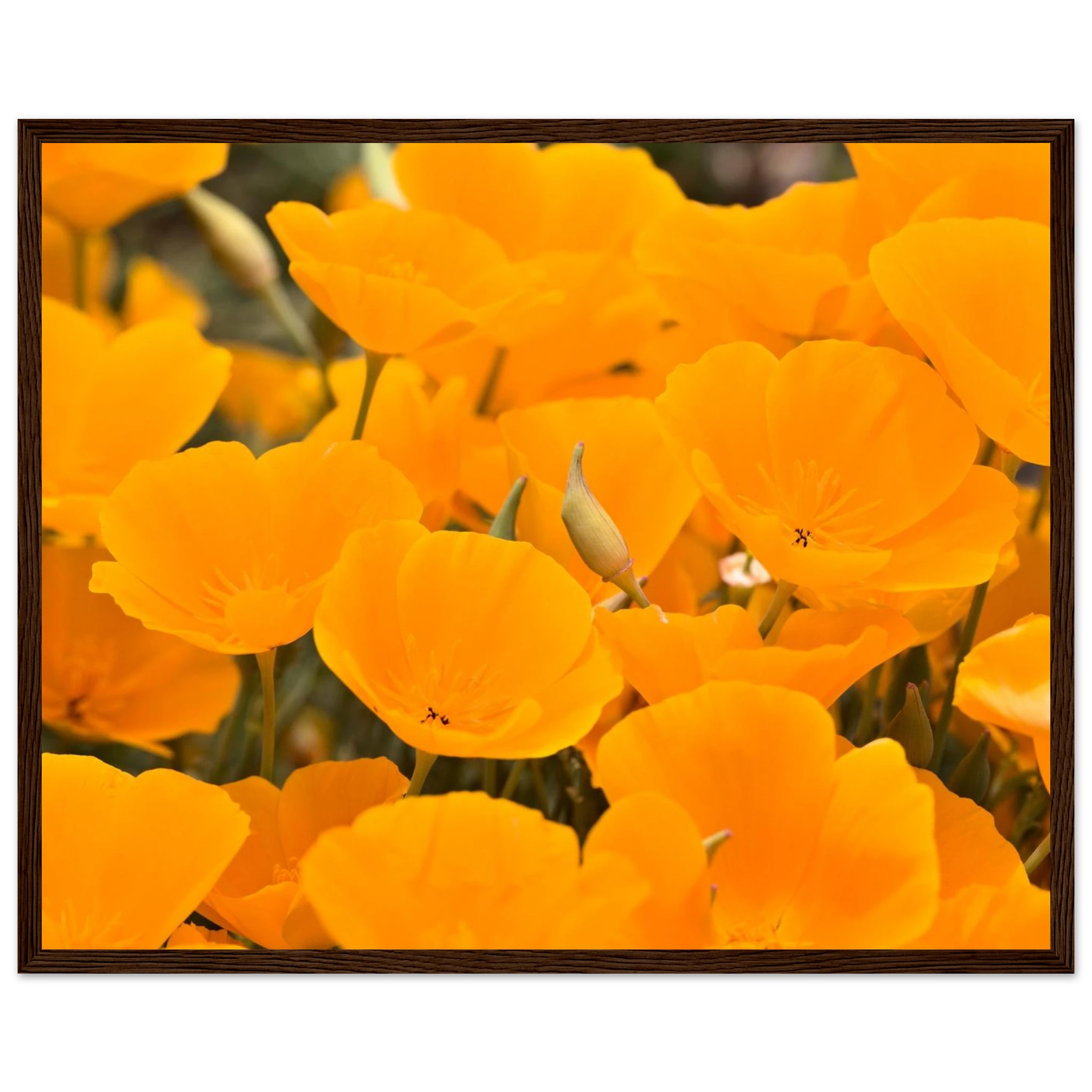 46733d1e-0ca7-4d4d-b558-747f66baa38f