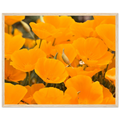 cb5740f9-1f5a-4be3-9778-0bf8064d7e98