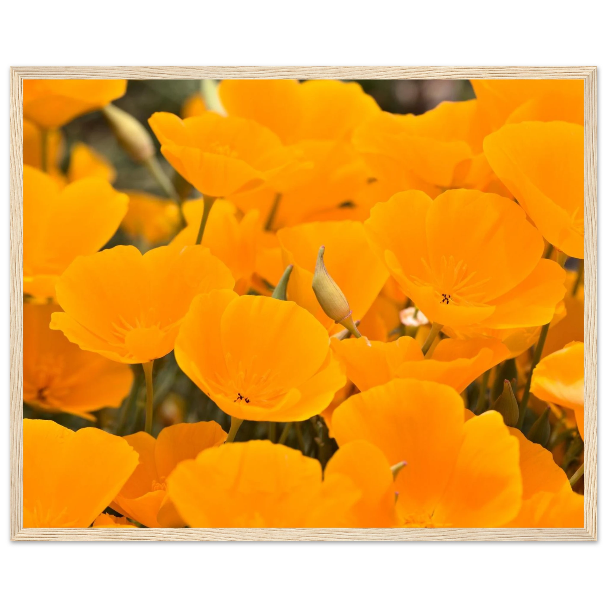 cb5740f9-1f5a-4be3-9778-0bf8064d7e98