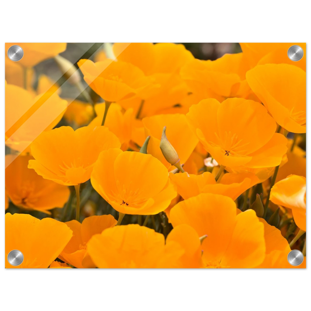 ec613e38-4c69-413e-88cb-226aa36895ec