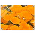 ec613e38-4c69-413e-88cb-226aa36895ec